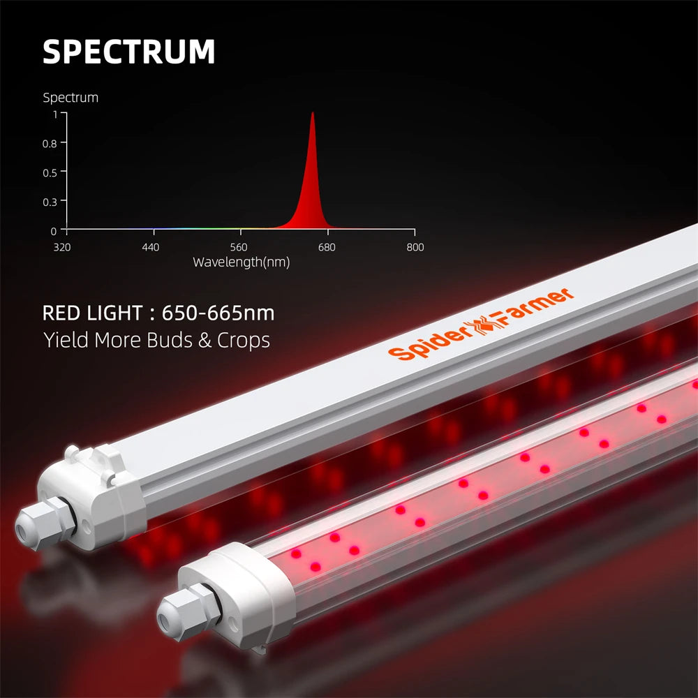 TheStoneyCrew™ Spider Farmer GlowR40 LED Grow Light Bar